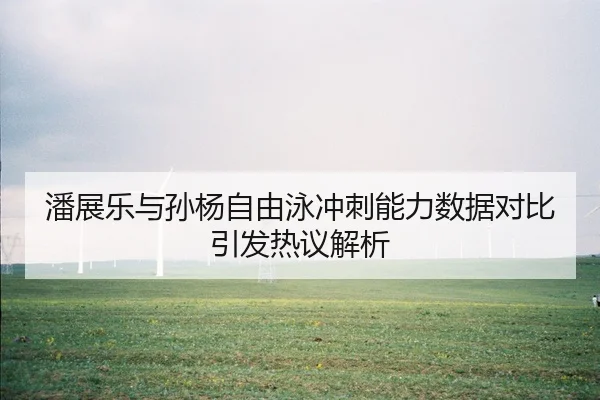 潘展乐与孙杨自由泳冲刺能力数据对比引发热议解析